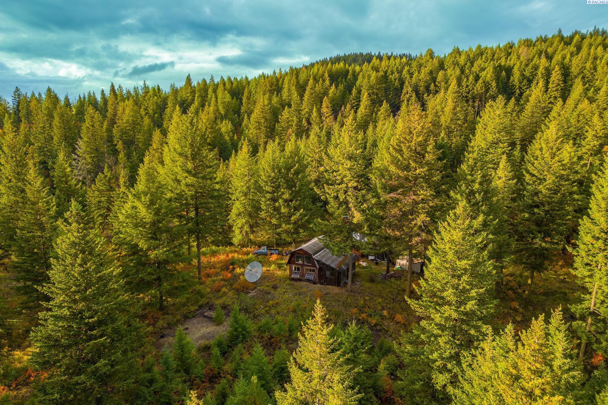 2518 A Bodie Mountain Road